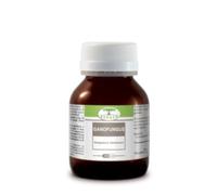 Ganofungus 60 capsule