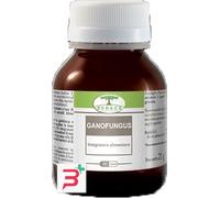 GANOFUNGUS 60 CAPSULE FLACONE 24 G