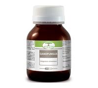 Ganofungus 60 capsule