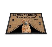 Ganshan Bi Zerbino personalizzato con acquerello cane Rhodesian Ridgeback tappetino di benvenuto non c'è bisogno di battere, so che sei qui regalo per gli amanti dei cani 35,4" x 23,6"