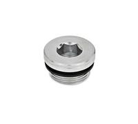 Ganter Norm elementi GN 749 G1/8 a - Chiusura viti, 15 pezzi, argento, argento, GN 749-G11/2-A