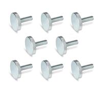 Ganter Normelemente | Viti a testa zigrinata piatte | Viti a testa zigrinata (forma bassa) | DIN 653-M4-20-ZB | 8 pezzi | acciaio zincato | Filettatura: M4 x 20