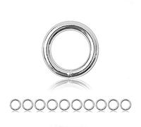 Ganzoo anello O-ring acciaio argento, set 10 pezzi, diametro interno 20 mm esterno 28 mm, saldato, non arrugginisce, ricambio e componente per Paracord 550, collari, guinzagli e lavori manuali
