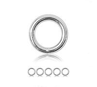 Ganzoo Anello O-Ring in Metallo Acciaio Legato, Non arrugginisce, Colore Argento, 5 Pezzi, 20 mm Diametro Interno 28 mm Esterno, Spessore 4,5 mm, per Collare e guinzaglio Cane, Paracord 550, DIY