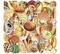 Gaodercha 50Pcs Retro Shell Adesivi Vintage Ocean Seashell Adesivi Decorativi Impermeabile Decalcomanie di Carta per Scrapbook Journal Laptop Bottiglia D'acqua Bagagli Telefono Accessori Artigianato