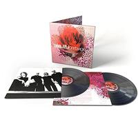 <![CDATA[Garbage - Beautifulgarbage (180g) (20th Anniversary) (2 LP)]]>