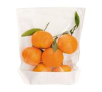 Garcia de Pou 100 unità Turtle confezione borsa con base e finestra, 50 g/m², in scatola, 20 x 24/21 x 3.5 cm, carta, bianco, 20 x 24 x 3.5 cm