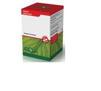 ERBA VITA Garcinia 60 capsule - Integratore alimentare per il controllo del peso