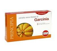 GARCINIA ESTR SEC 60CPR 25,2G