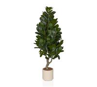 Garcinia - Piante artificiali Verde