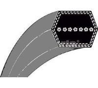 GARDEMAX Cinghia trapezoidale esagonale compatibile per Castel Garden TC92, Stiga Estate