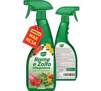 Gardemia Rame e Zolfo Spray per Piante 750ml Contro Ingiallimenti, Macchie Fogliari e Carenze - Ricco Integratore Fogliare per Orto, Frutteto, Rose e Fiori, Balcone, Giardino - Per Interni ed Esterni