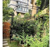 Garden Arco Rose Semiarco Metallo In Metallo Con Campione Arco Vendite Per Arrampicata Robusto Giardino Tubolare Pergola Tubolare 90x240cm 150x240cm 200x240cm 300x240cm (Dimensioni: W250xH240cm