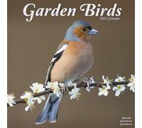 Garden Birds 2025 Square Wall Calendar | Bird, Wildlife, Calendar