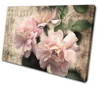 Garden Butterfly Vintage Floral SINGLE TELA parete arte foto stampa