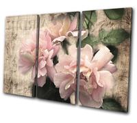 Garden Butterfly Vintage Floral TREBLE TELA parete arte foto stampa