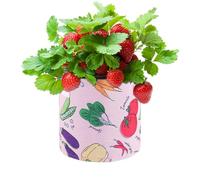 Garden Grow Bags, Vegetables Growing Containers With Drainage, Thickened Vegetable Planter Bags For Garden, Cultivation Nursery Indoor Outdoor Balcony Patio Greenhouse