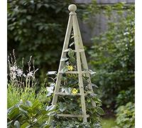 Garden Mile Grande obelisco o arco da giardino in legno, per esterni, resistente, per rose rampicanti, struttura di supporto, decorazione da giardino ornamentale (obelisco salvia 1,9 m)
