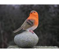 Garden Mile Robin Redbreast Arroccato su pietre in resina pettirosso petto uccello set altamente dettagliato ornamenti da giardino decorazione per interni ed esterni (1 pettirocino)