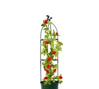 Garden Obelisk Trellis - Vine Rose Tower, Garden Obelisk Trellis, High Plant Support, Climbing Plant Trellis, Garden Trellis, Gardening Trellis, Vine, 4 posti
