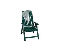 Garden of Life 8092V Sedia a Sdraio, Resina, Verde, 92 x 50 x 12 cm