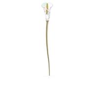 Garden Tales Calla Lily 5619229