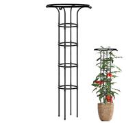 Garden Trellis a forma di ombrello da 61 pollici, obelisco metallico per le piante da arrampicata, all'aperto