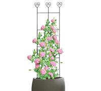 Garden Trellis - Decorative Flower Vine Support Stand, Elegant Vertical Growth Design, Lightweight Yet Strong Frame Build, Easy Install Ground Insert System | Indoor Support, Ivy Wall Decor