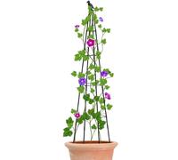 Garden Trellis, Pea Trellis, Metal Climbing Plant Support, Adjustable Height Frame, Sturdy Growing Accessories, Decorative Bird Head Design, for Flower, Pea, Bean, Cucumber Vegetables