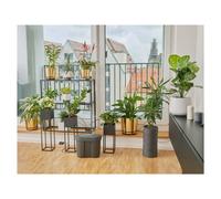 Gardena Set di irrigazione per Le Vacanze incl. Serbatoio d’Acqua, Set di irrigazione per Interni ed Esterni per Piante in Vaso, trasformatore con Timer Integrato, Funzione Auto-Stop (13366-20)
