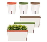 GardenBasix Set di 6 vasi autoirriganti da finestra, per piante da interno, per casa, giardino, moderno, decorativo, per tutte le erbe e piante grasse (6, tricolore)