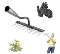 Gardenia Iron Weeding Rake,iron rake for gardening and weeding,iron weeding rake,5/6/7/8 Teeth,for Dethatching,Gardening and Backyard Lawn Loosening (Black+5 Teeth)