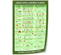 Gardening Gift Vegetable Companion Planting Chart Plant Combinations Guide For Organic Garden Layout Poster(Framed,16x24inch(40x60cm))