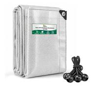 GARDENIX Telone trasparente rinforzato 2 x 3 m, 100 g/m², elastici elastici | Telone protettivo in polietilene trasparente, impermeabile, resistente ai raggi UV, antistrappo, per giardino, edilizia
