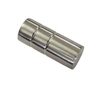 Gardinia 32063 Cilindro, 2X terminali, Metallo, Effetto Acciaio Inox, per Tende Tecniche Ø 19 mm, 2 unità