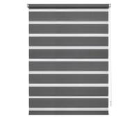 GARDINIA EASYFIX Tenda a rullo con guida di montaggio, Tenda a rullo doppia, Tenda a rullo a estrazione laterale, Strisce trasparenti e opache, Regolazione continua, Antracite, 100 x 150 cm