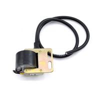 Sgr 4123881 Ignition Coil Trasparente