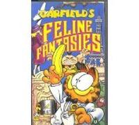 Garfield: Garfield's Feline Fantasies [VHS]