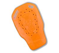 Garibaldi Paraschiena Visco Level 2