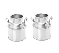 GARIOUANS 2 Pezzi Vasi Mini in Ferro Vintage per Bonsai e Decorazioni Desktop Secchielli Rustici Resistenti per Piante e Photo Props in Stile Europeo