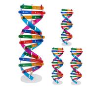 GARIOUANS 4pezzi Struttura Doppia Del Dna Strumento Apprendimento Scientifico Per Studenti Molecolare Del Dna Didattico Per Divulgazione Scientifica