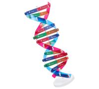 GARIOUANS Kit di Assemblaggio a Doppia Spirale Genica Educativo per Esperimenti Scientifici Strumenti di Visualizzazione del Gene Umano per Laboratori Scolastici e Didattica