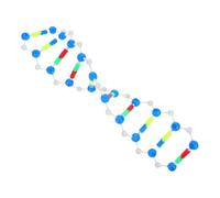 GARIOUANS Kit di Modelli Molecolari Dna a Doppia Spirale, Plastica Resistente, per Laboratorio e Classe di Scienze Stem, Strumento Didattico Scientifico per Apprendimento Genetica e
