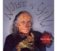 Garland, David - Noise In You