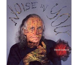 Garland, David - Noise In You