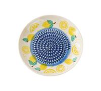 Garlic Grater Plate, Ceramic Ginger Grater Dish for Kitchen Cooking | Ceramic garlic grater plate with textured for ginger, garlic, tomato, strawberry, cheese, fruit, vegetables, baking.