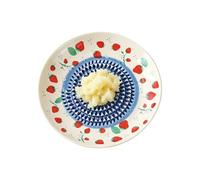 Garlic Grater Plate, Ceramic Ginger Grater Dish for Kitchen Cooking | Ceramic garlic grater plate with textured for ginger, garlic, tomato, strawberry, cheese, fruit, vegetables, baking.