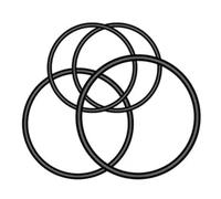 Garmin 010-12385-10 Supporto, Varia, O-Ring universali