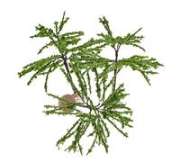 Garneck 3 Miniature Street Trees per Decorazioni Paesaggio per Diorama e Progetti da Te Realizzati Resistente e