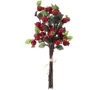 Garneck 5 falsi melograno composizione floreale artificiale rosa canina pianta finto decorazione bacche per la selezione autunnale per composizioni floreali albero di Natale ramo di abete